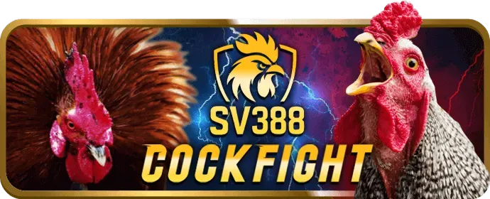 Sự kiện đặc biệt mv888